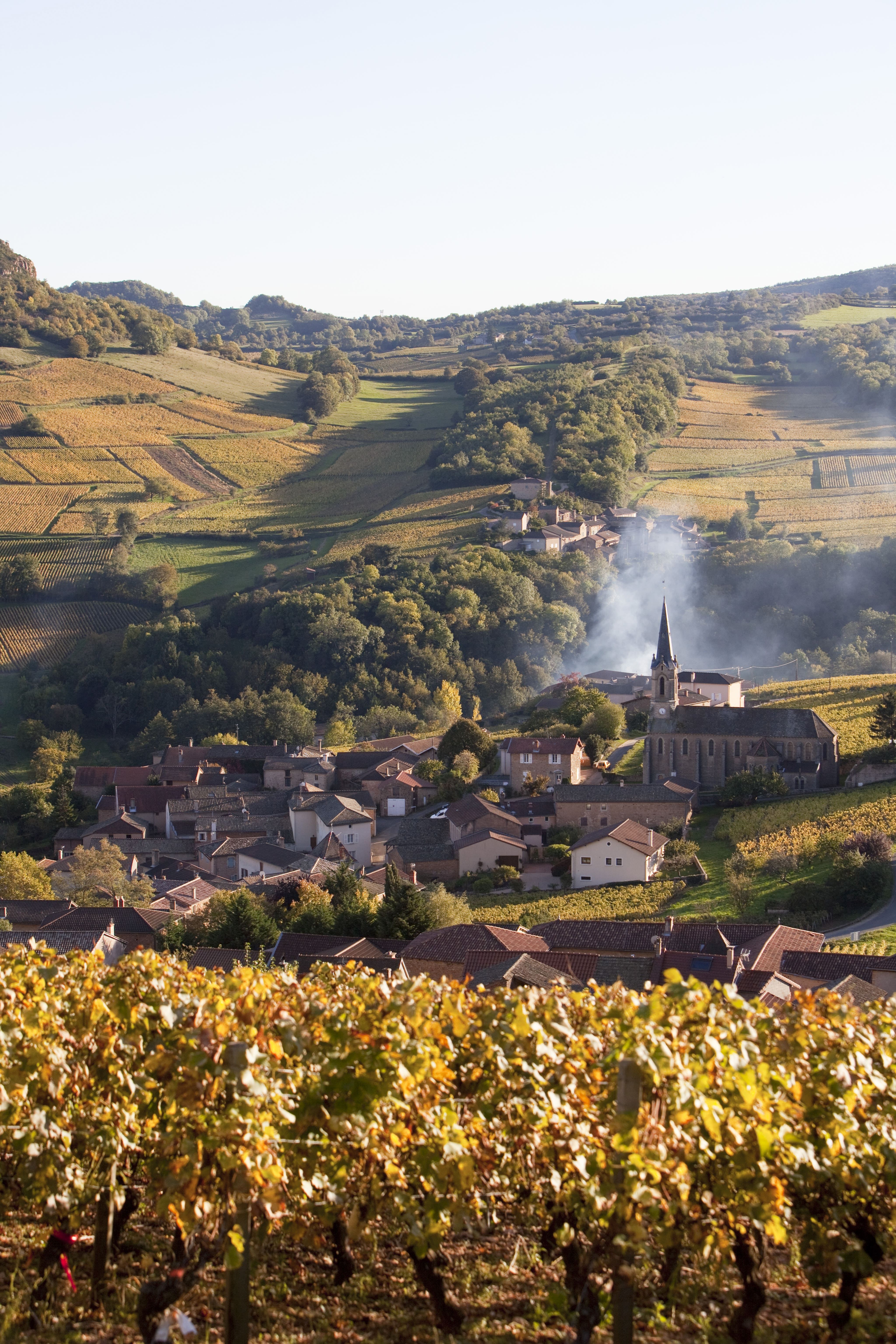 Image de la délégation Saône-et-Loire