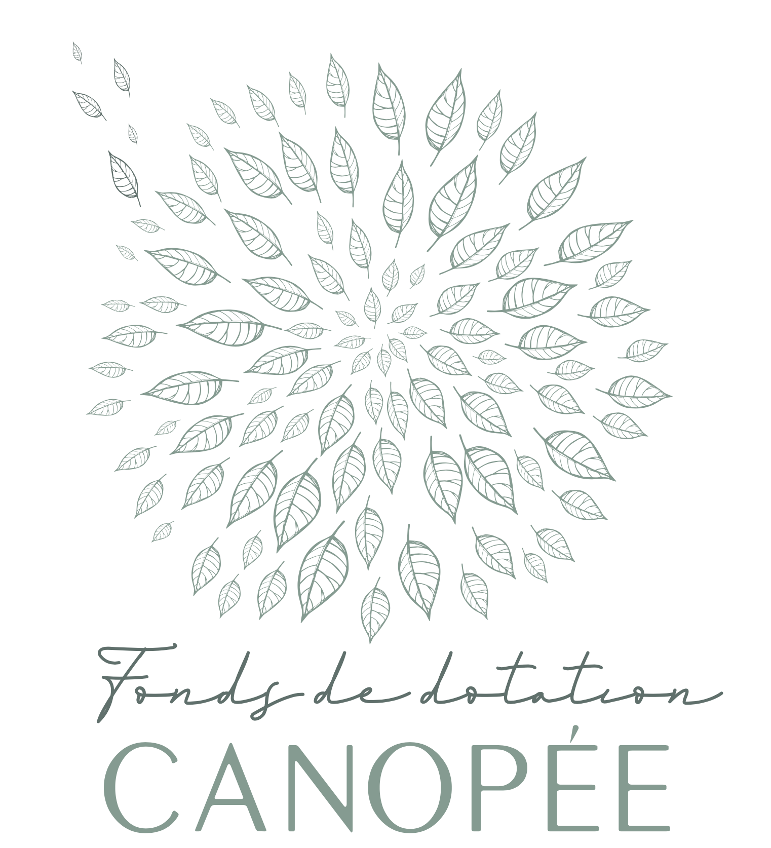 Logo Fonds Canopée